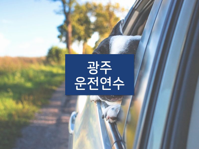 광주운전연수 후기