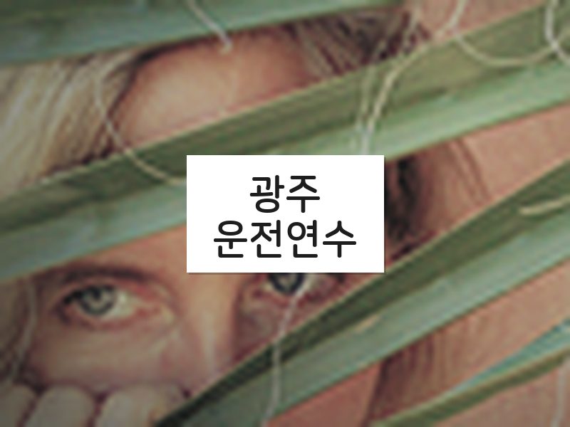 광주운전연수 후기