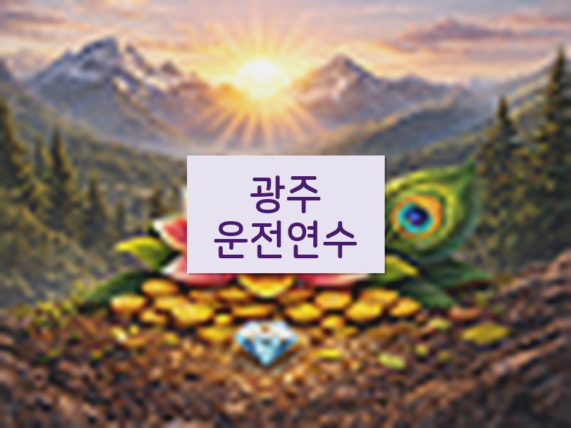 광주운전연수 후기