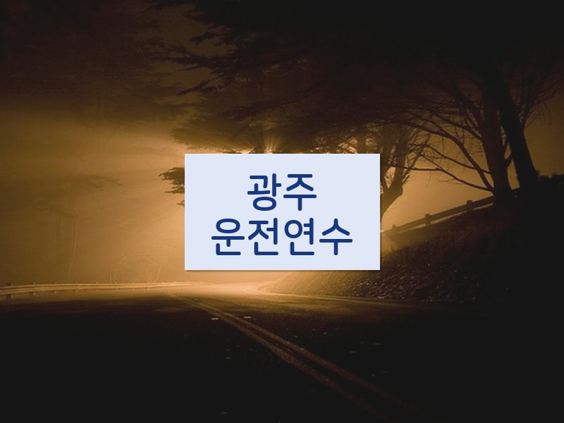 광주운전연수 후기