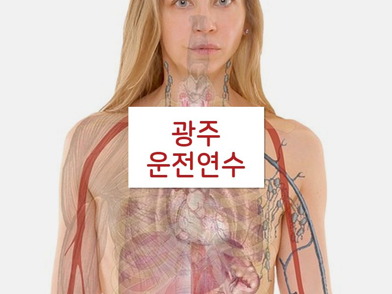 광주운전연수 후기
