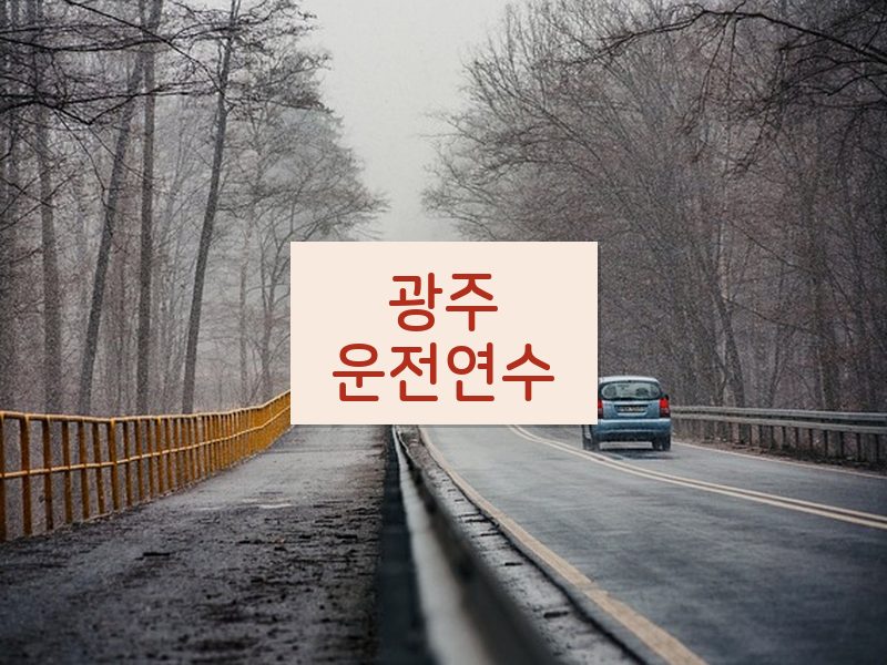광주운전연수 후기