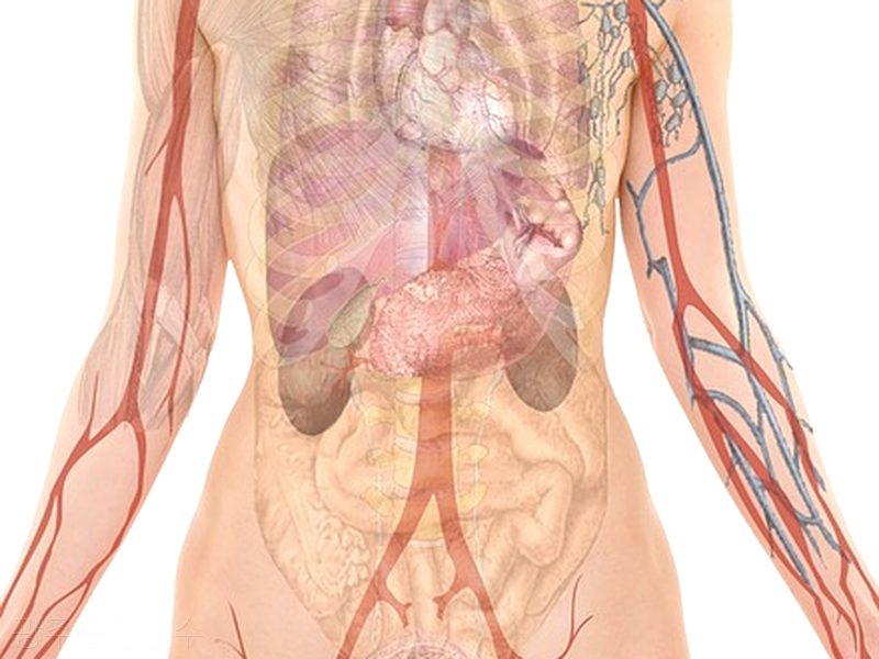 광주운전연수 후기