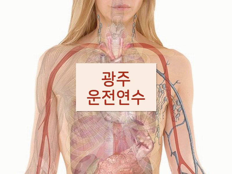 광주운전연수 후기