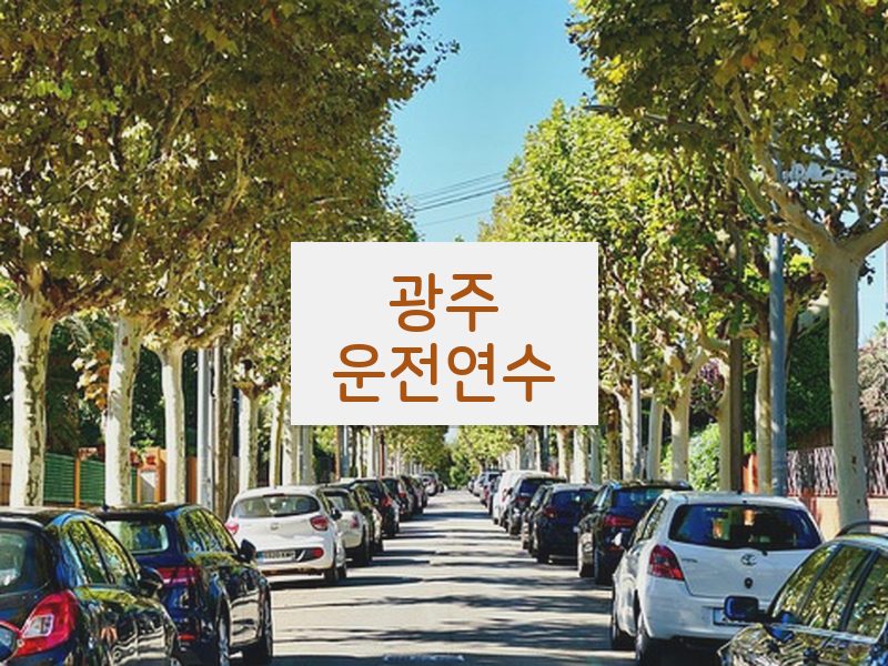 광주운전연수 후기