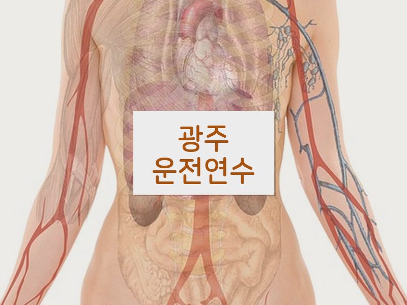 광주운전연수 후기
