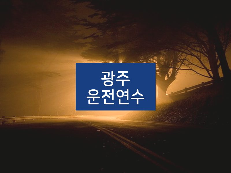 광주운전연수 후기