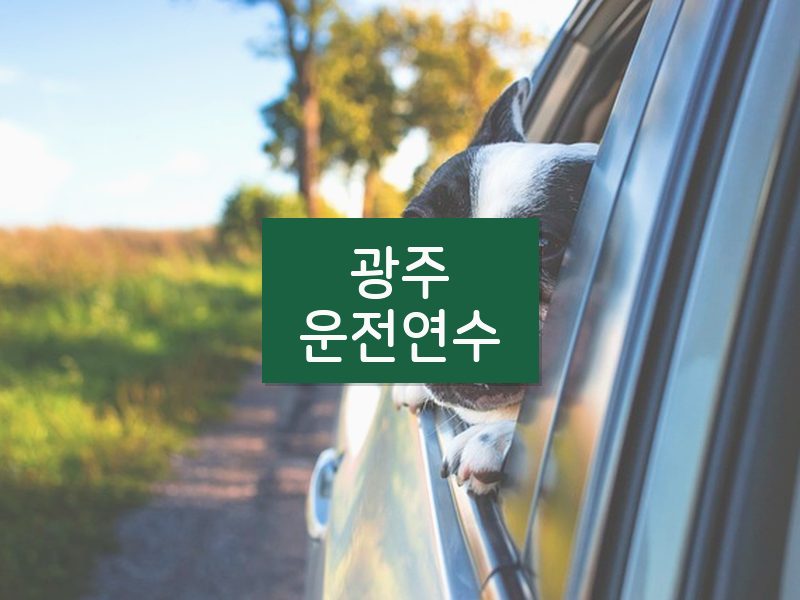 광주운전연수 후기