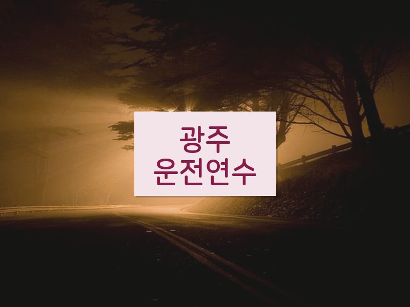 광주운전연수 후기