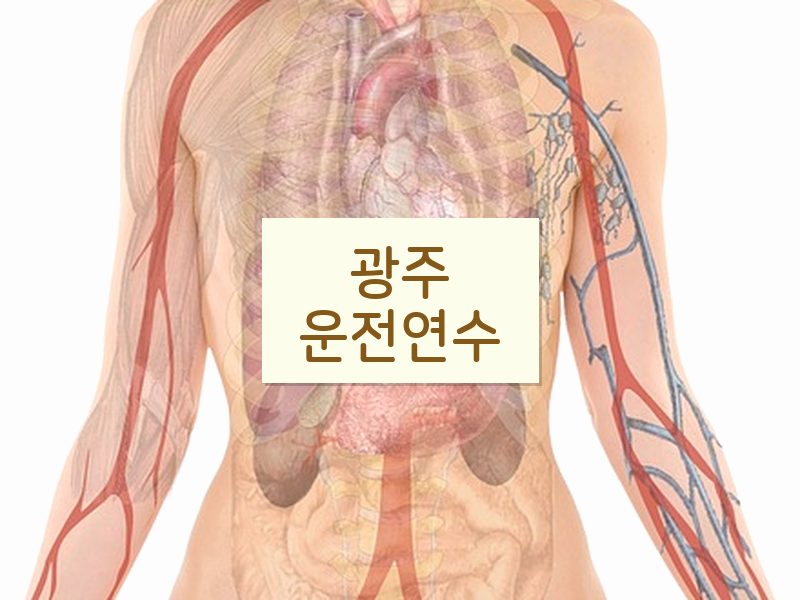 광주운전연수 후기