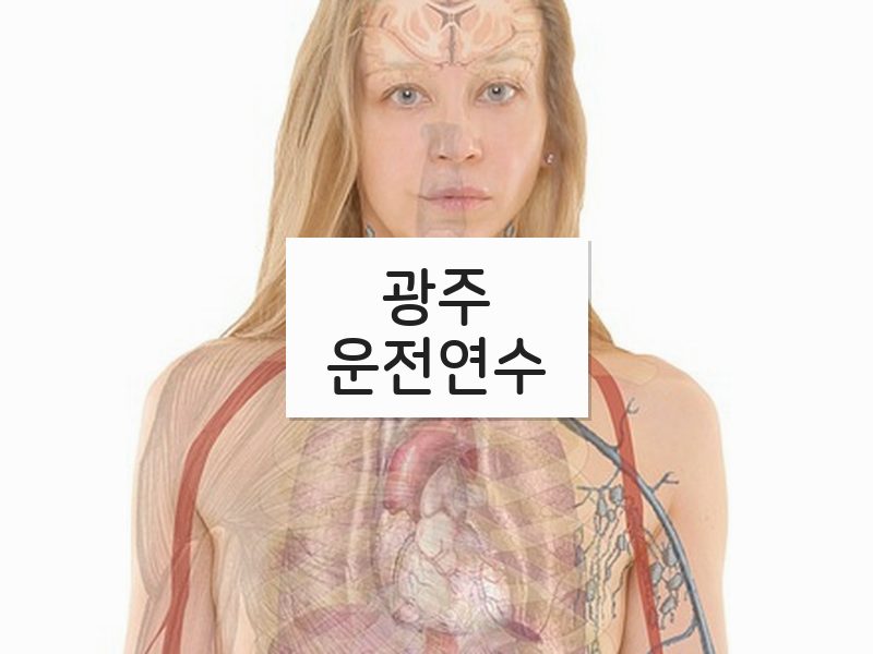 광주운전연수 후기