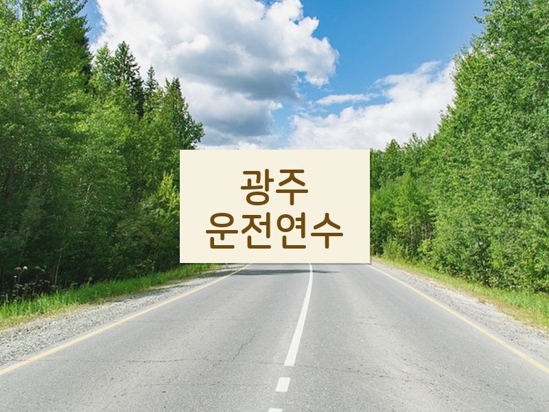 광주운전연수 후기