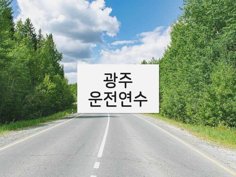 광주운전연수 후기