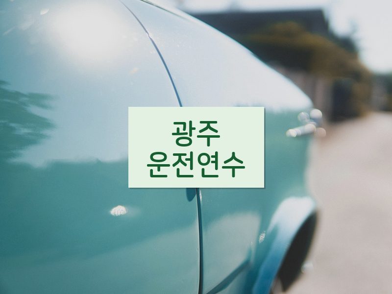 광주운전연수 후기