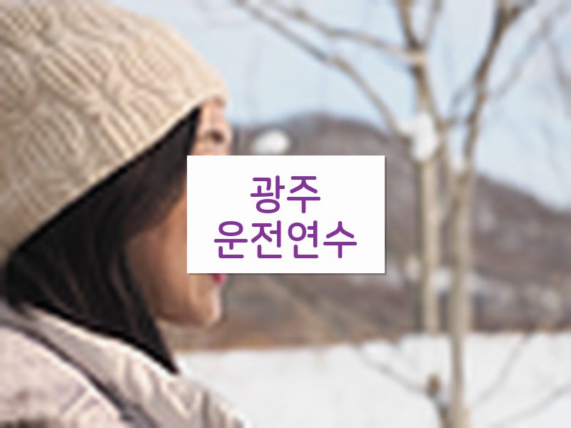 광주운전연수 후기