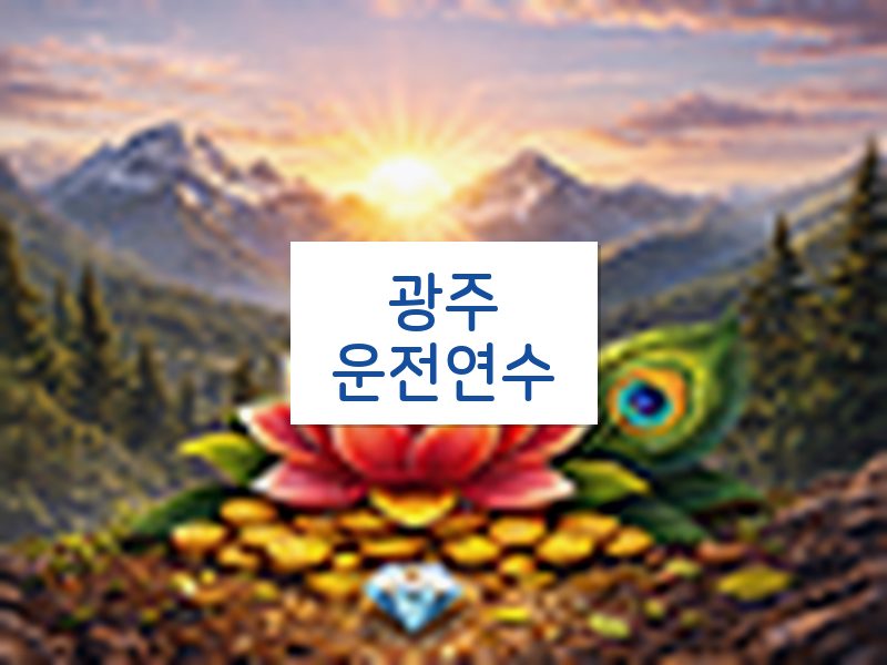 광주운전연수 후기