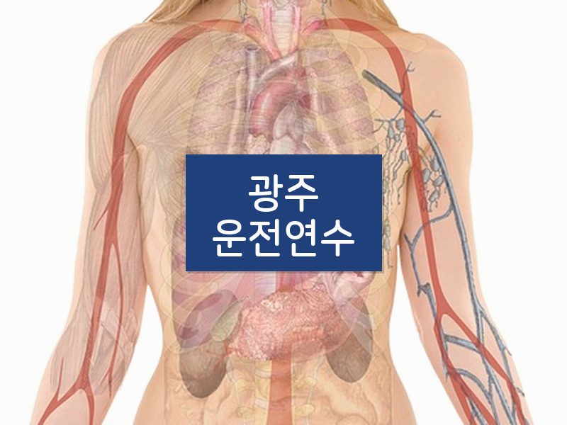 광주운전연수 후기