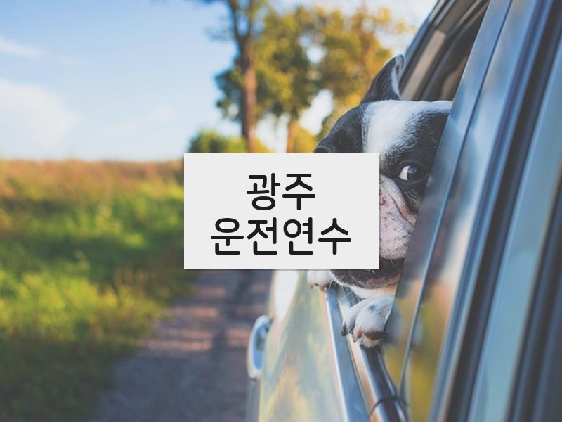 광주운전연수 후기