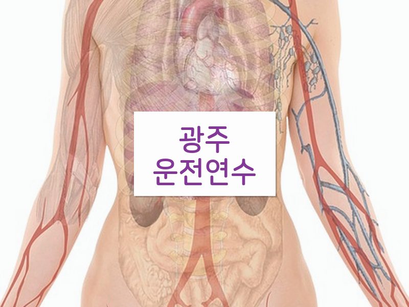 광주운전연수 후기
