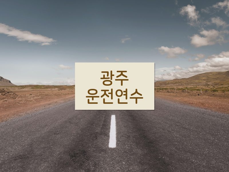 광주운전연수 후기