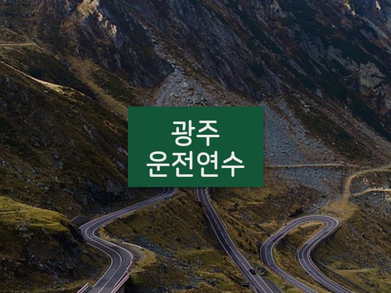 광주운전연수 후기