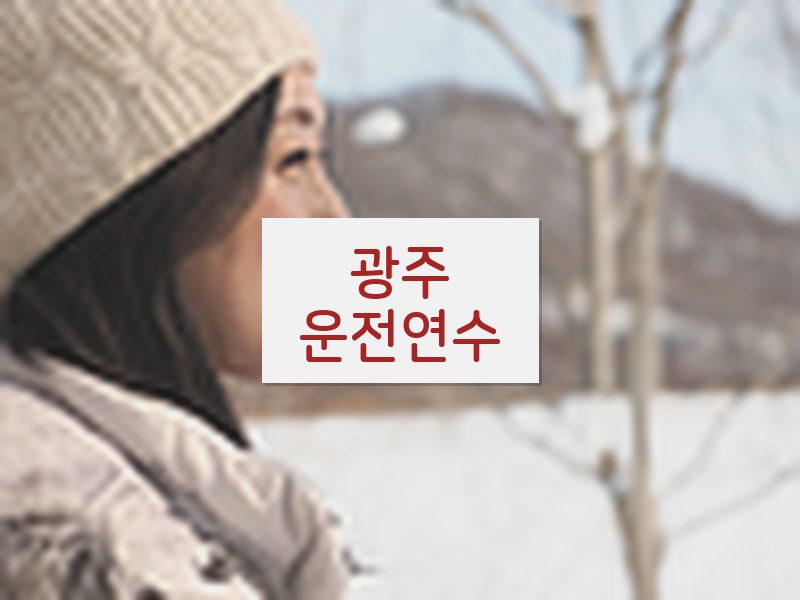 광주운전연수 후기