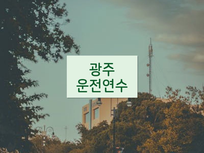 광주운전연수 후기