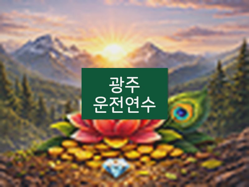 광주운전연수 후기