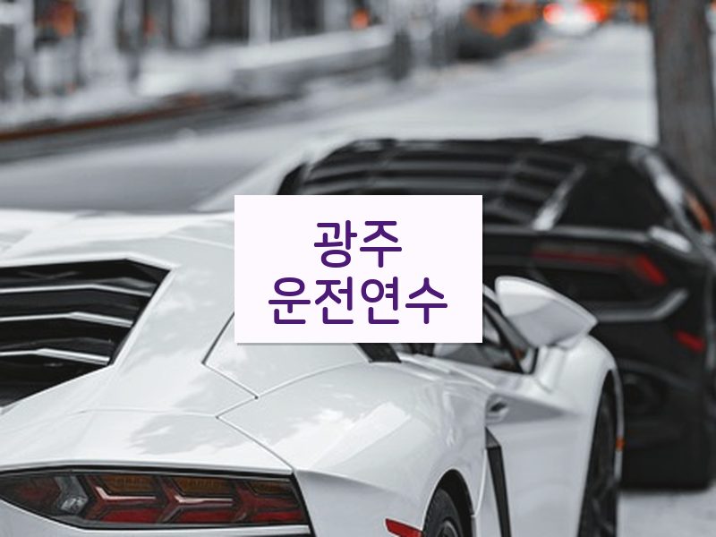 광주운전연수 후기