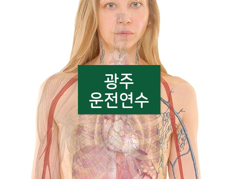광주운전연수 후기