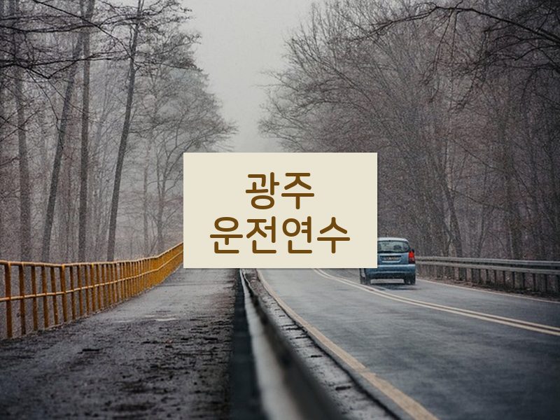 광주운전연수 후기