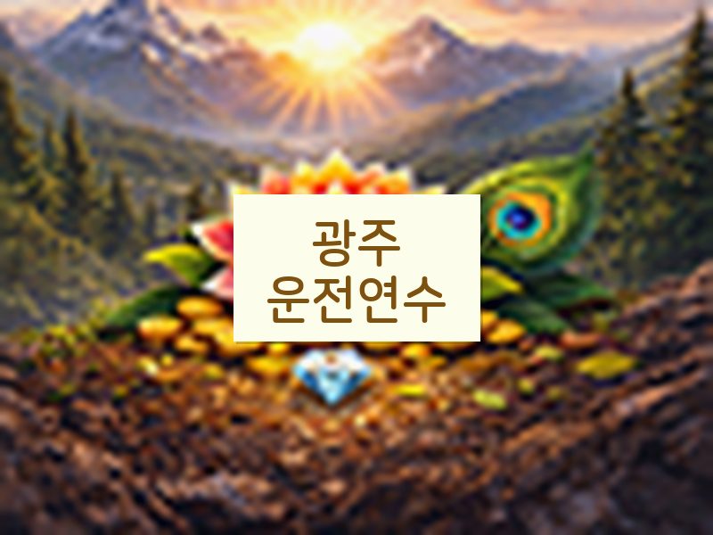 광주운전연수 후기