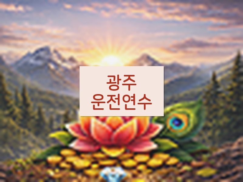 광주운전연수 후기