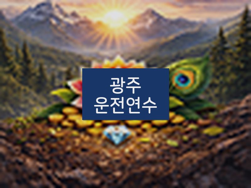 광주운전연수 후기