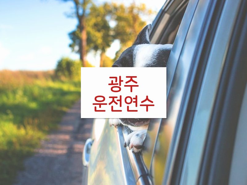 광주운전연수 후기