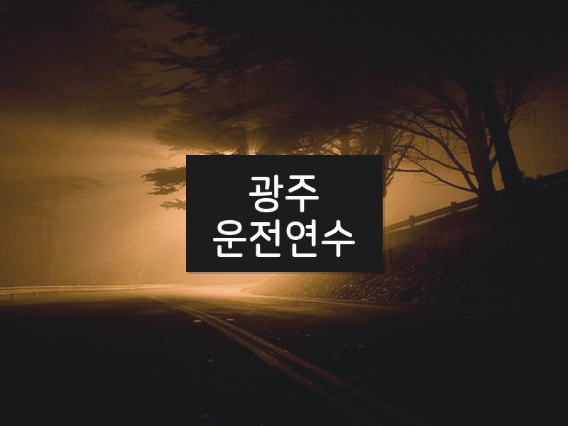 광주운전연수 후기