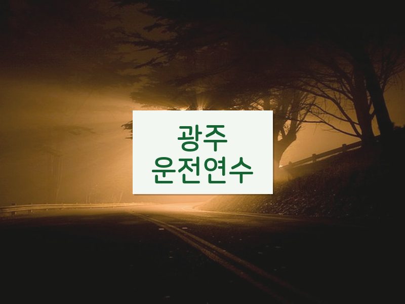 광주운전연수 후기