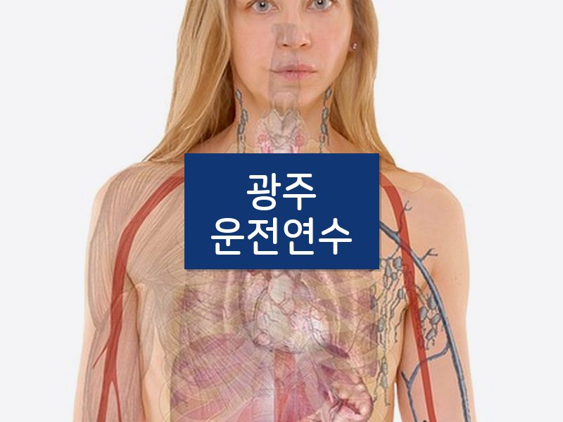 광주운전연수 후기