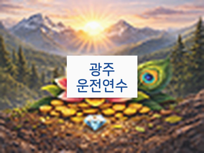 광주운전연수 후기