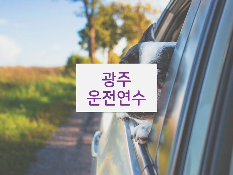 광주운전연수 후기