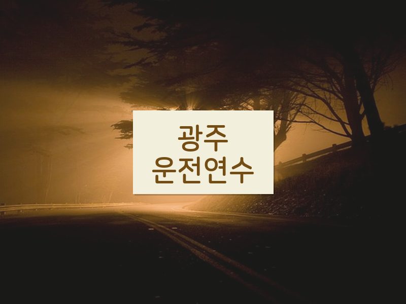 광주운전연수 후기