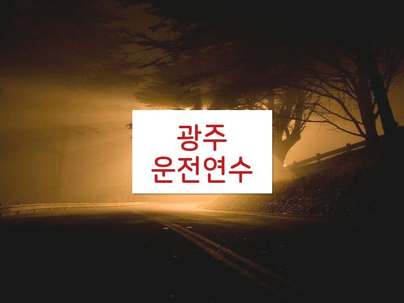 광주운전연수 후기