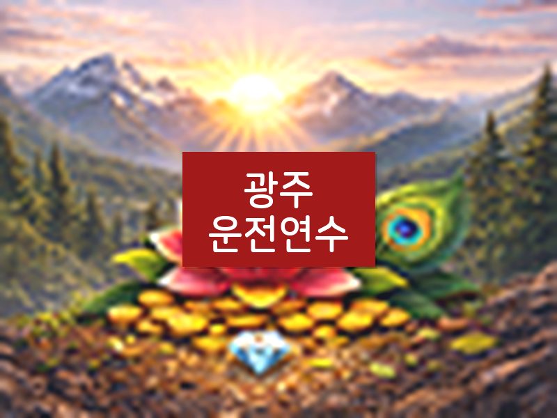 광주운전연수 후기