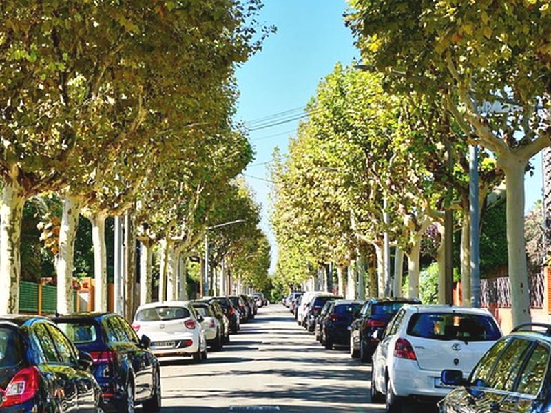 광주운전연수 후기