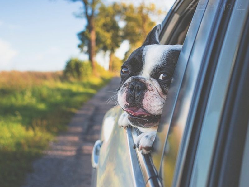 광주운전연수 후기
