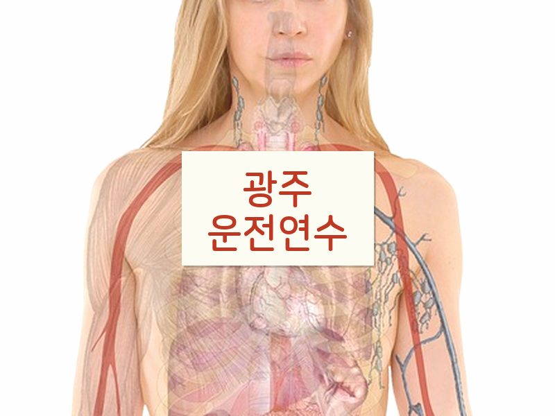 광주운전연수 후기