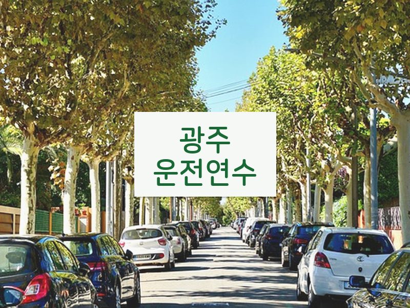 광주운전연수 후기