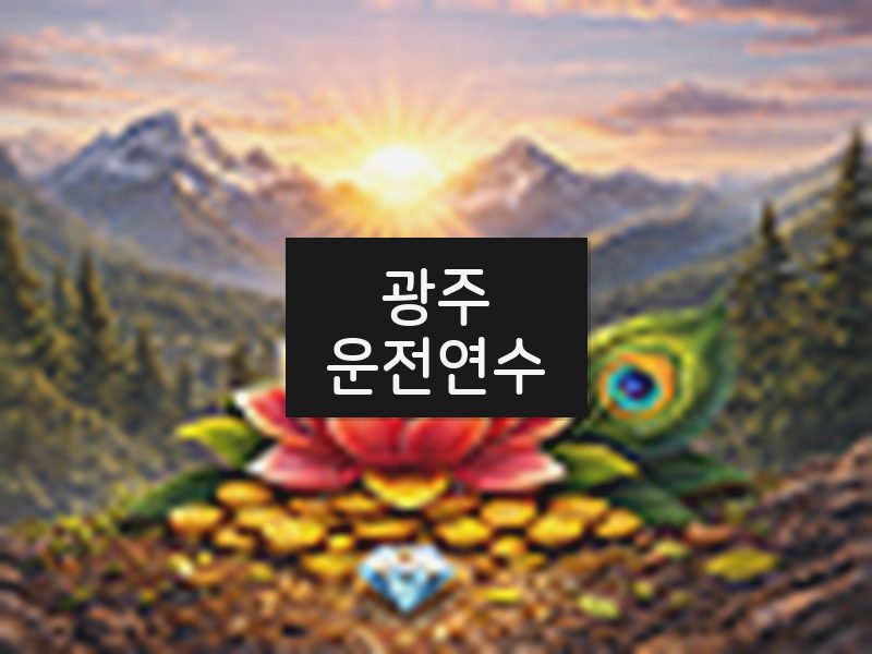 광주운전연수 후기