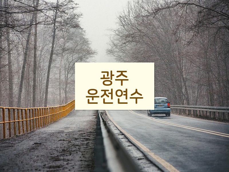 광주운전연수 후기