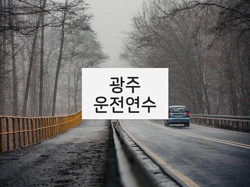 광주운전연수 후기